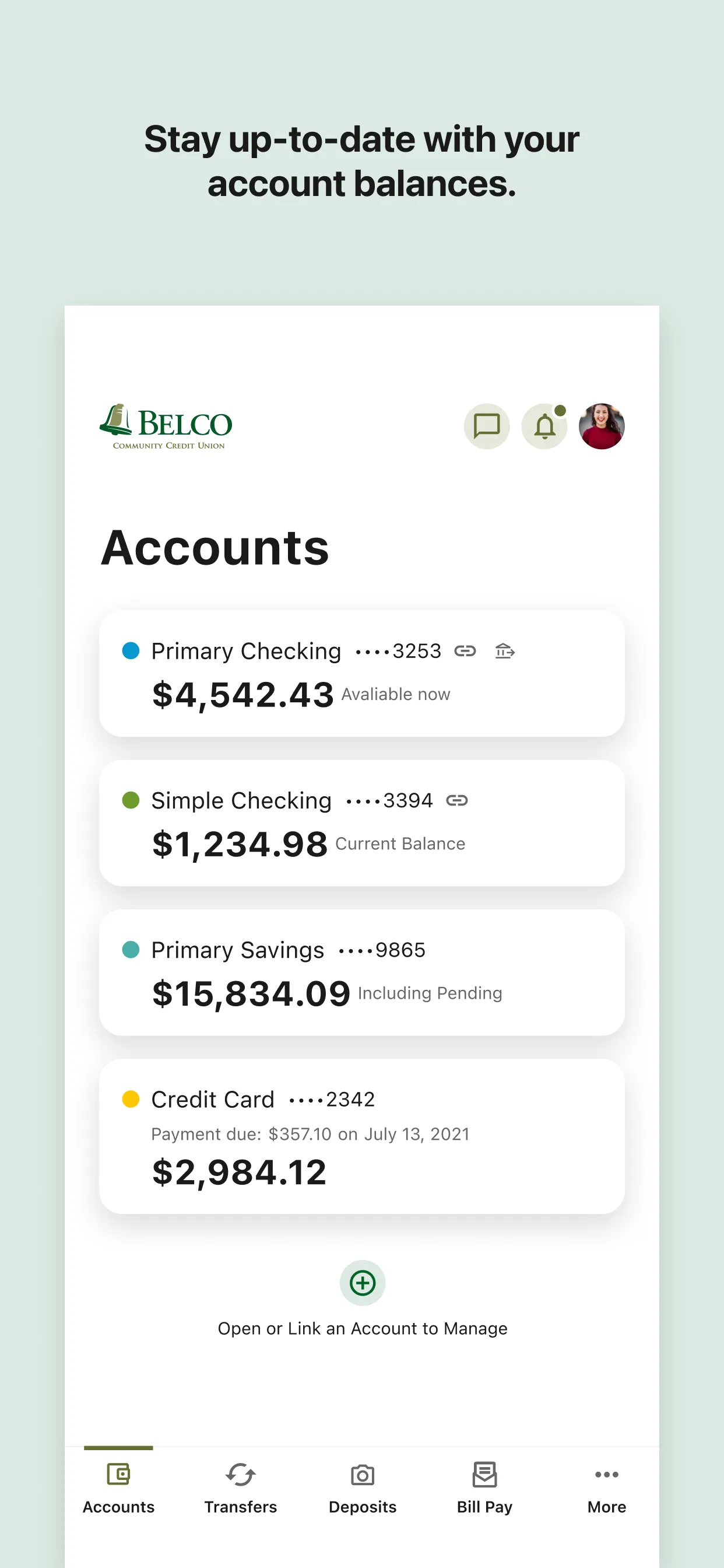 Belco Money Manager iphone screenshot 3