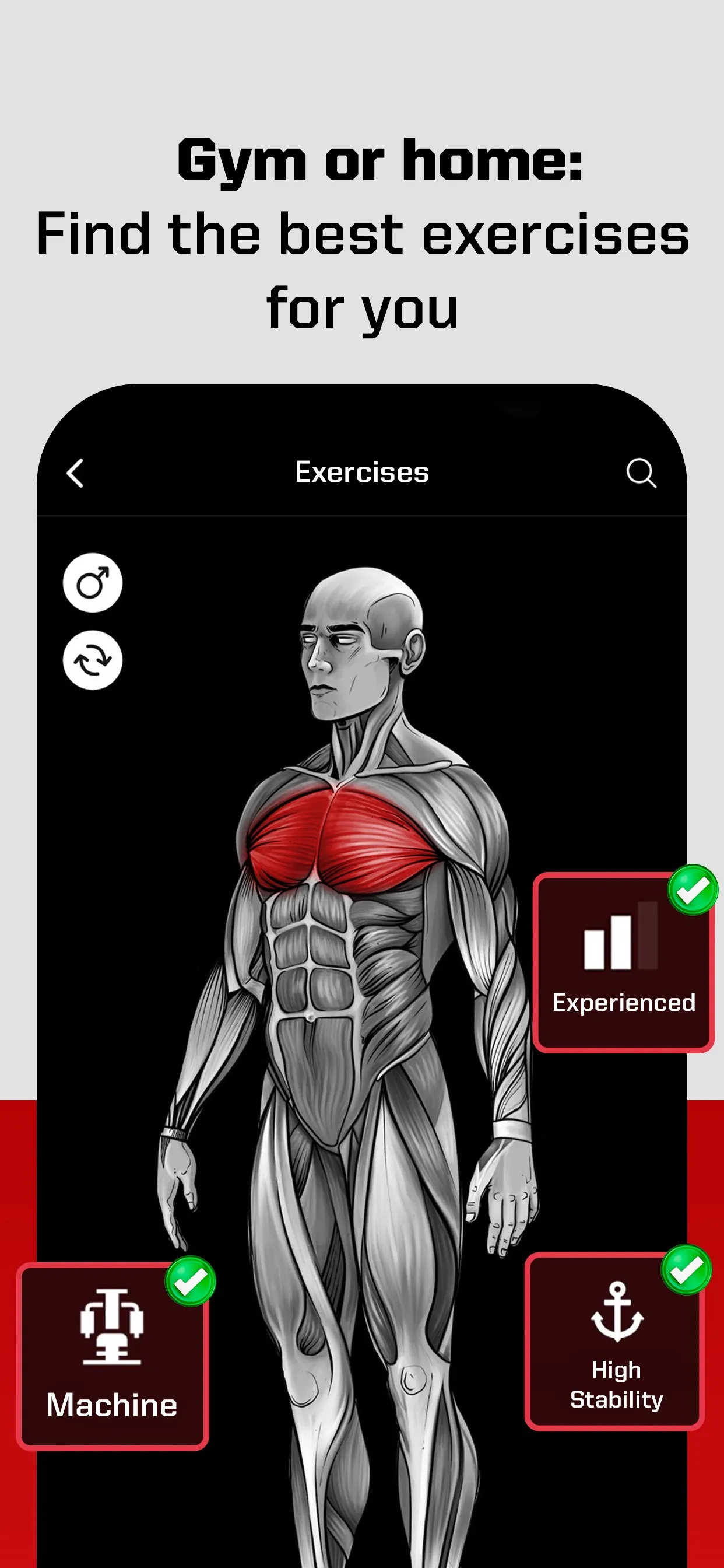 Lightweight Fitness Exercises iphone screenshot 2