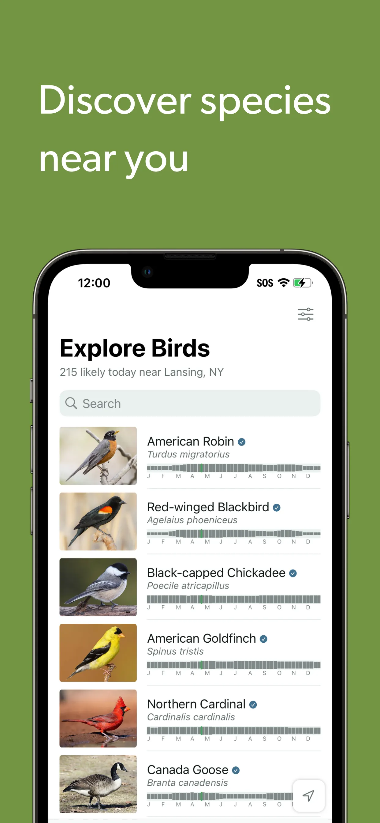 Merlin Bird ID by Cornell Lab iphone screenshot 4