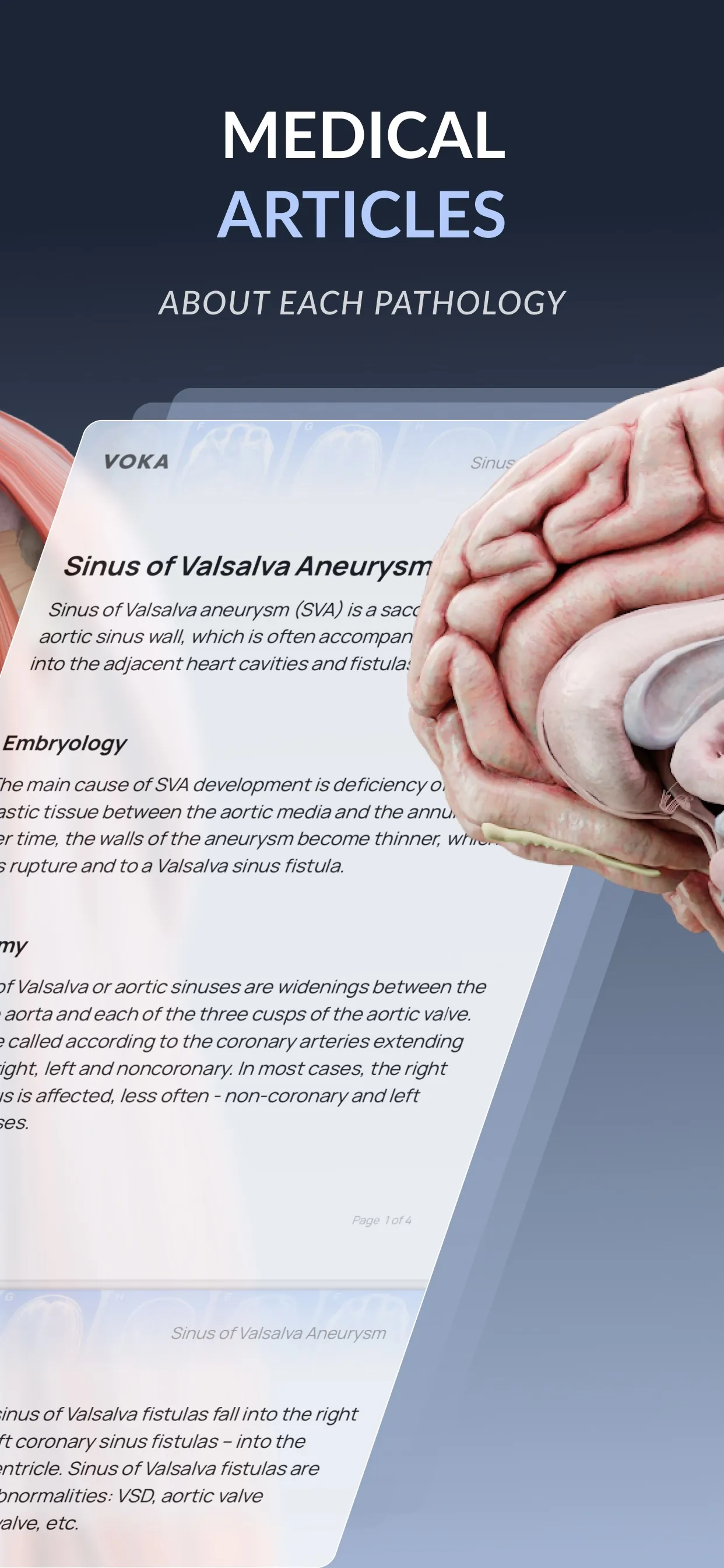 VOKA 3D Anatomy & Pathology iphone screenshot 3