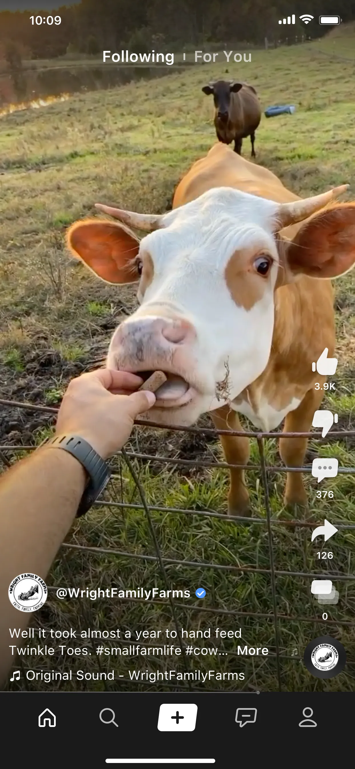 Clapper: Video, Live, Chat iphone screenshot 3