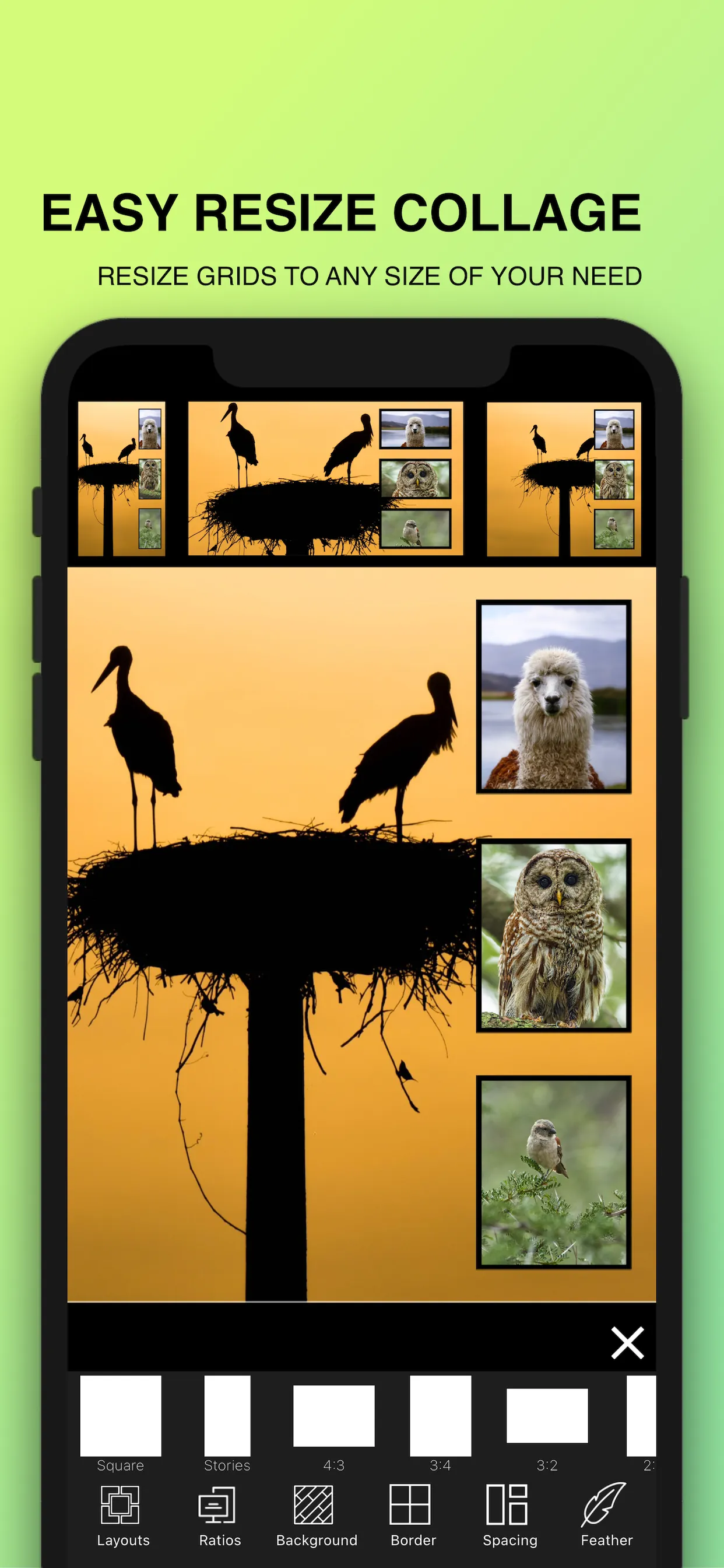 Photo Collage Maker : Pic Grid iphone screenshot 6
