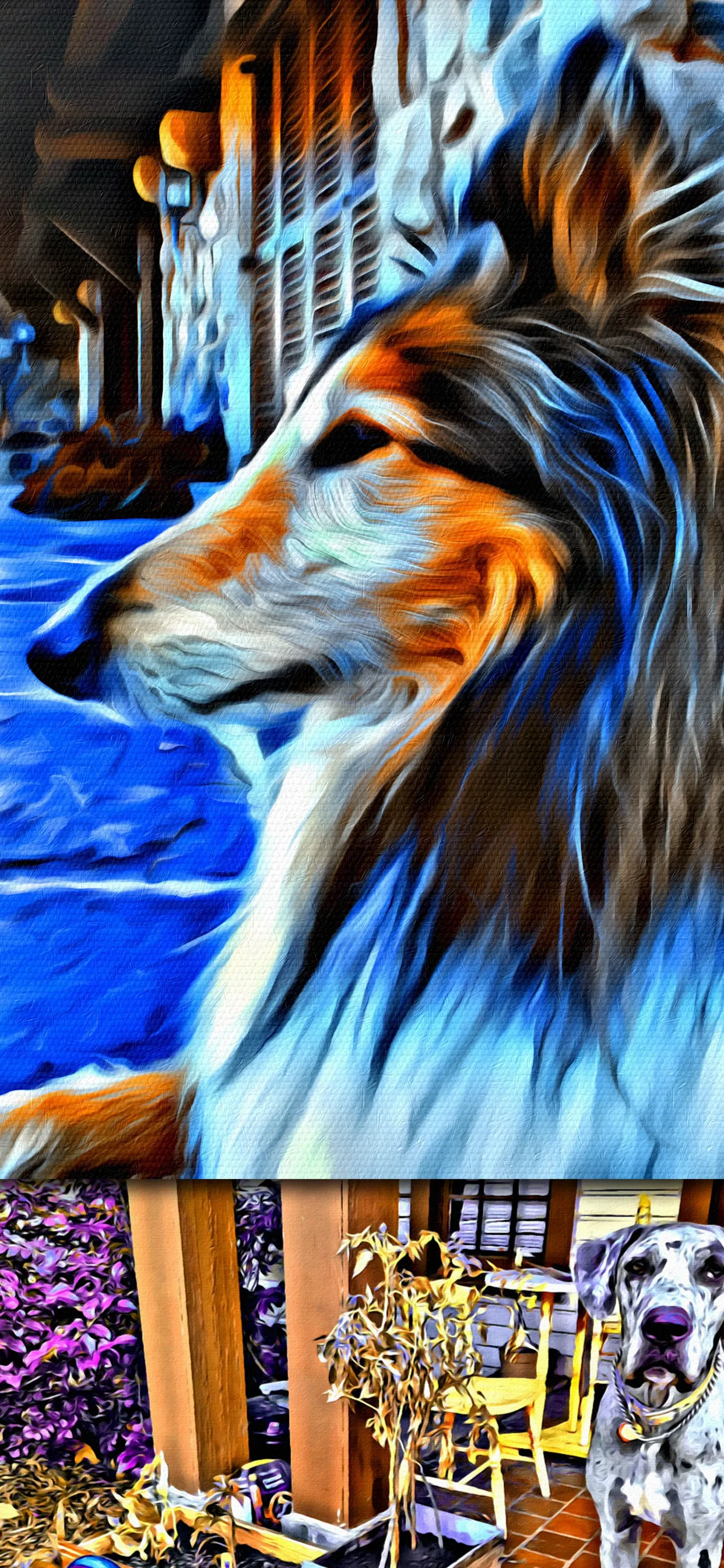 Portrait Painter iphone screenshot 5