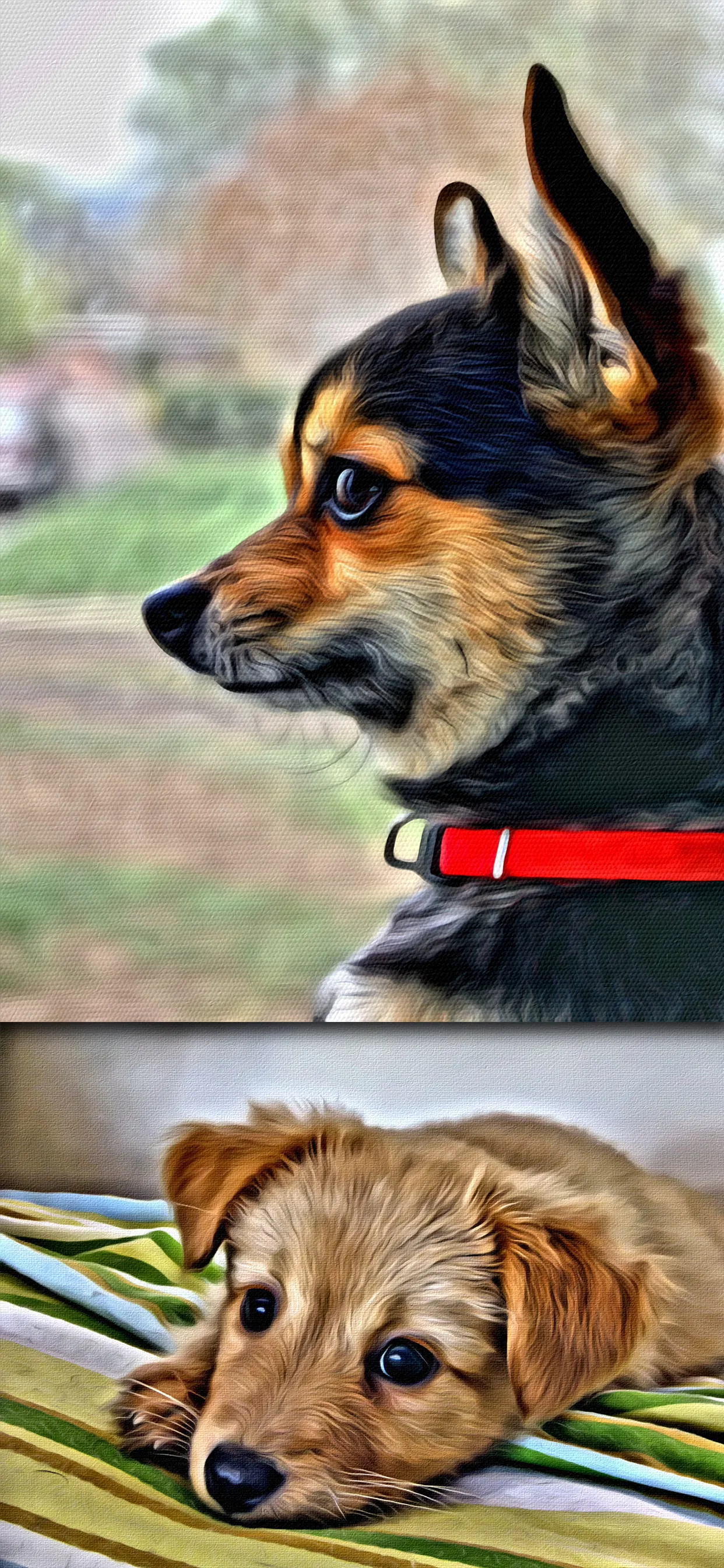 Portrait Painter iphone screenshot 4