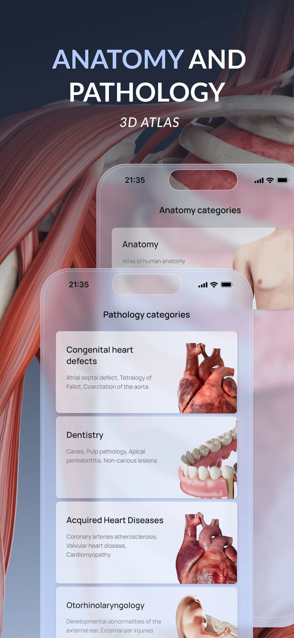 VOKA 3D Anatomy & Pathology iphone screenshot 1