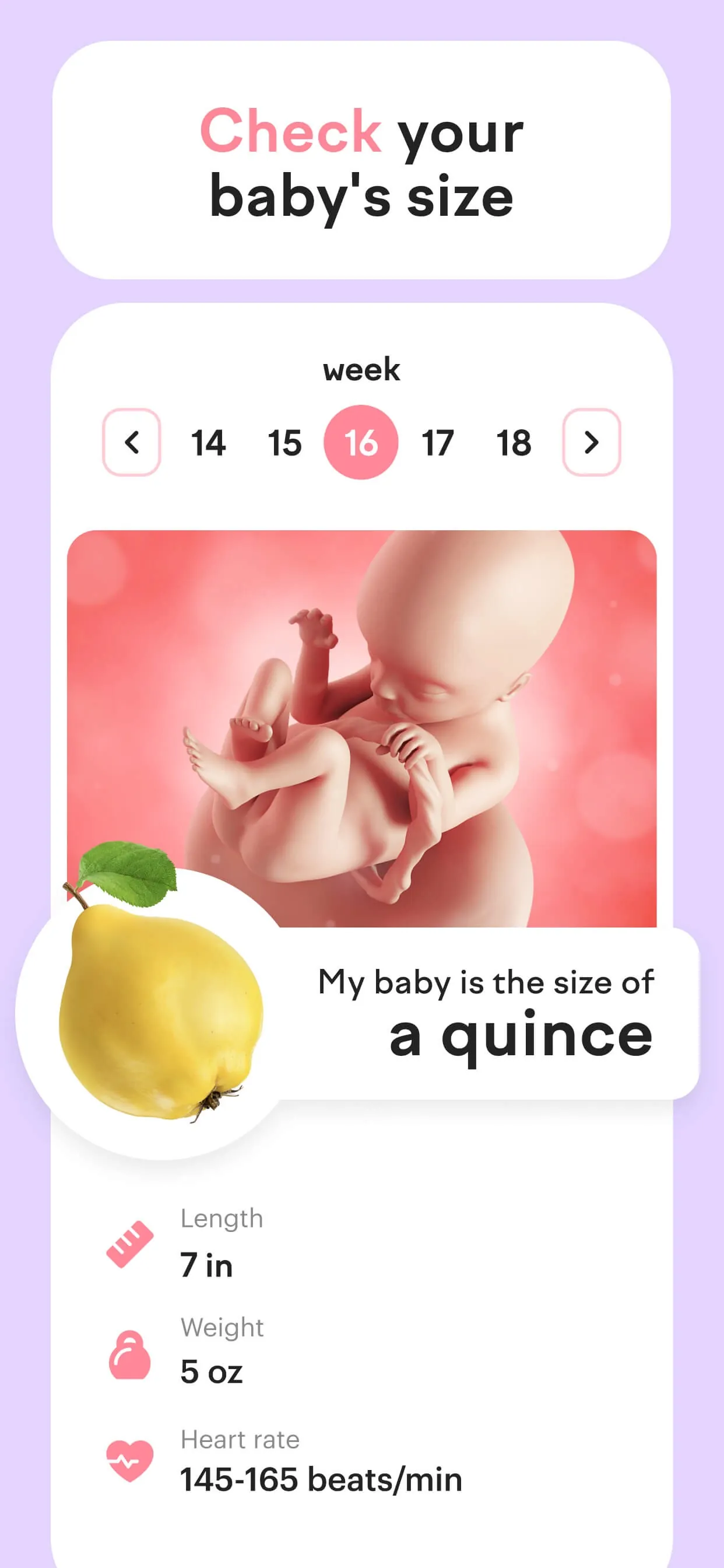 amma: Pregnancy & Baby Tracker iphone screenshot 4