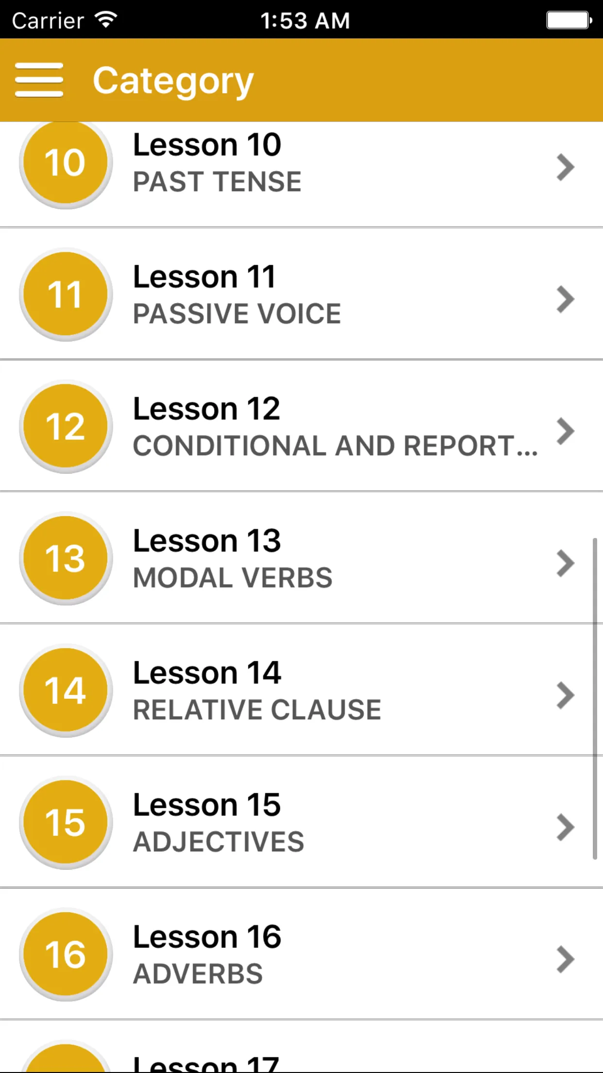 German Grammar - Improve your skill iphone screenshot 1