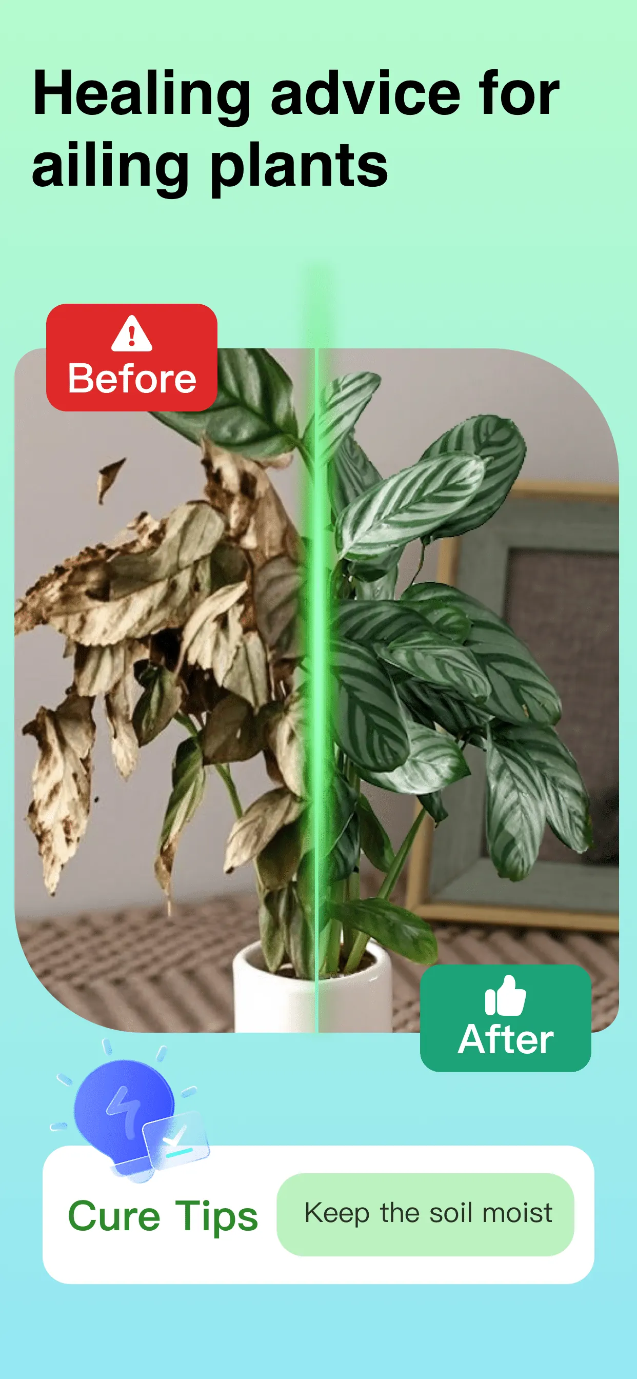 Plant Identifier: ChatPlant AI iphone screenshot 4