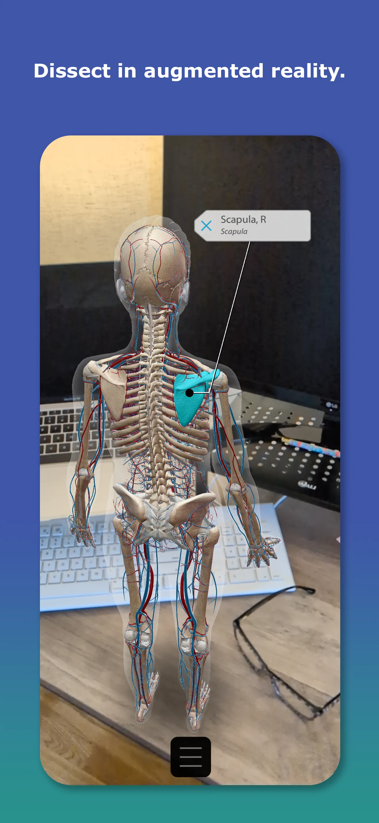 Human Anatomy Atlas 2026 iphone screenshot 6