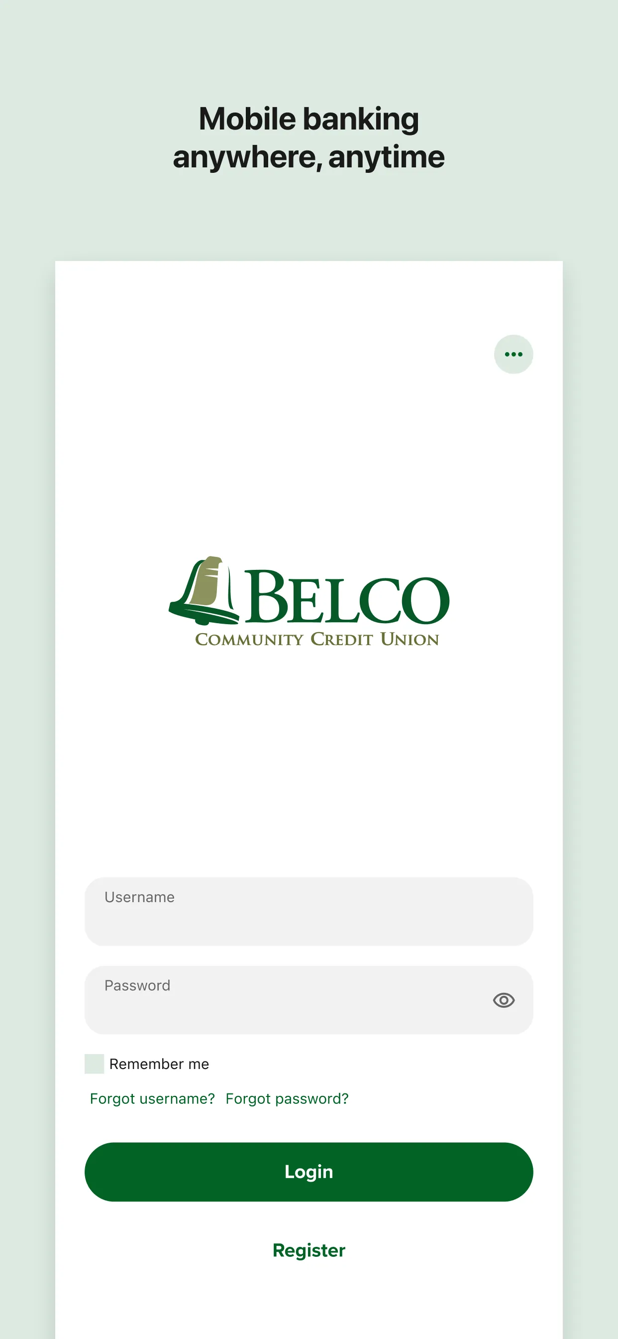 Belco Money Manager iphone screenshot 1