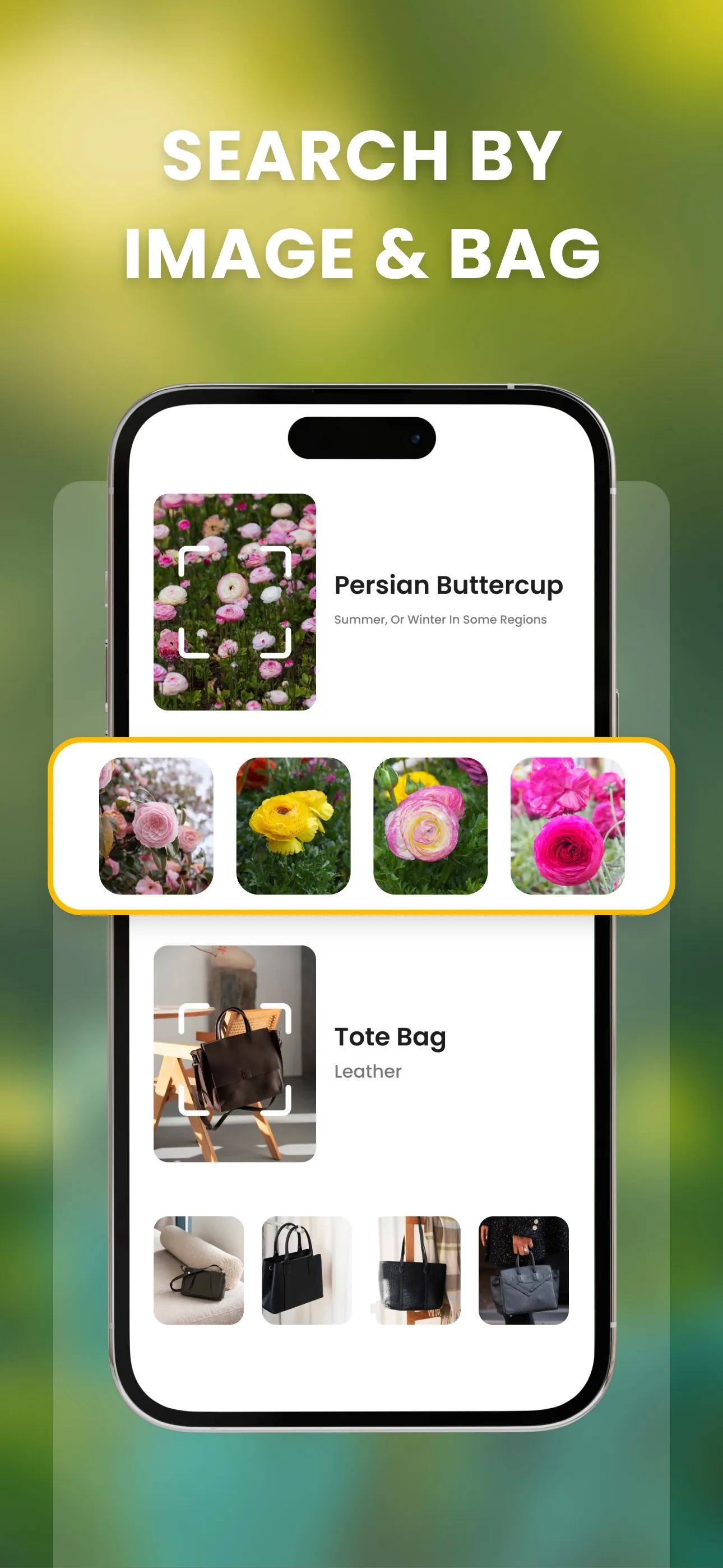 Image Recognition And Searcher iphone screenshot 4