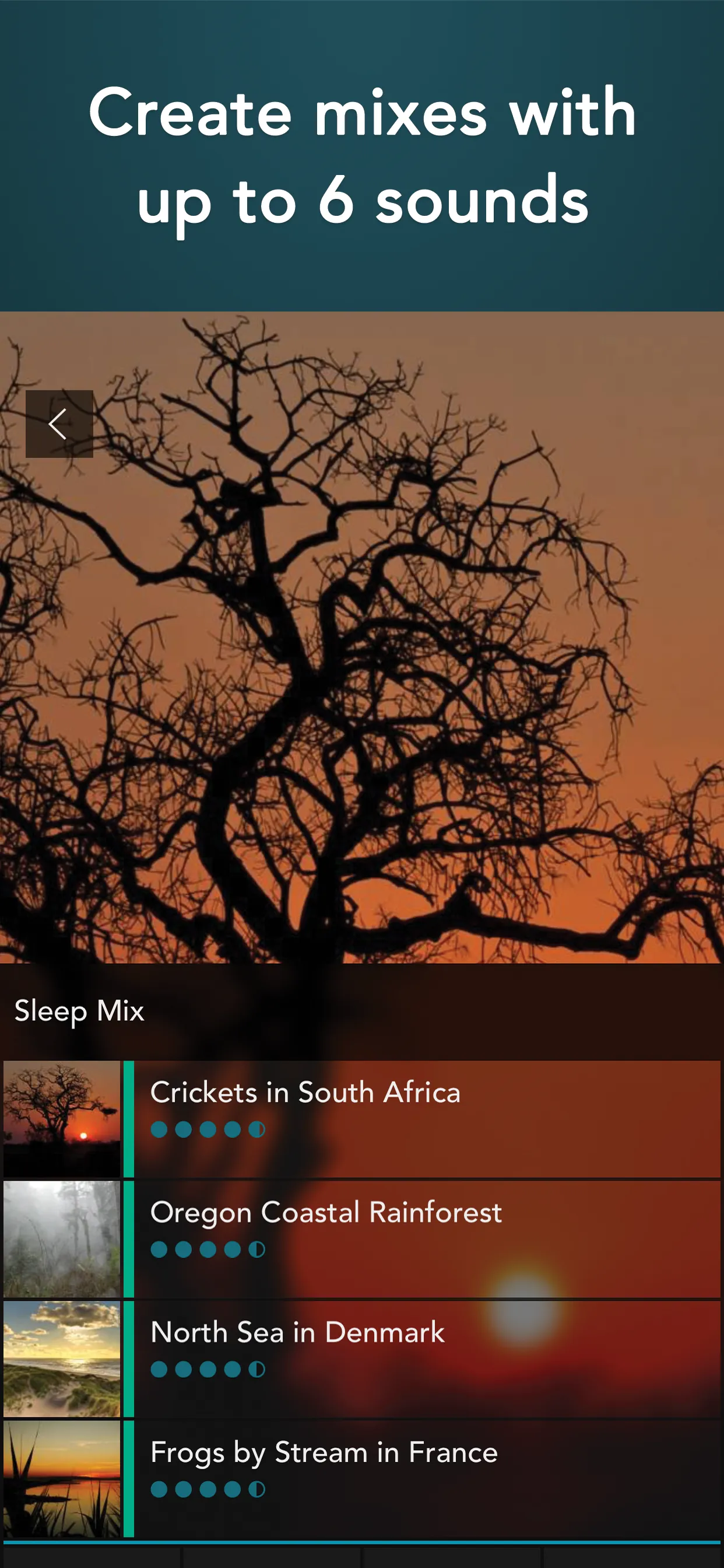 Soothing Sleep Sounds iphone screenshot 3