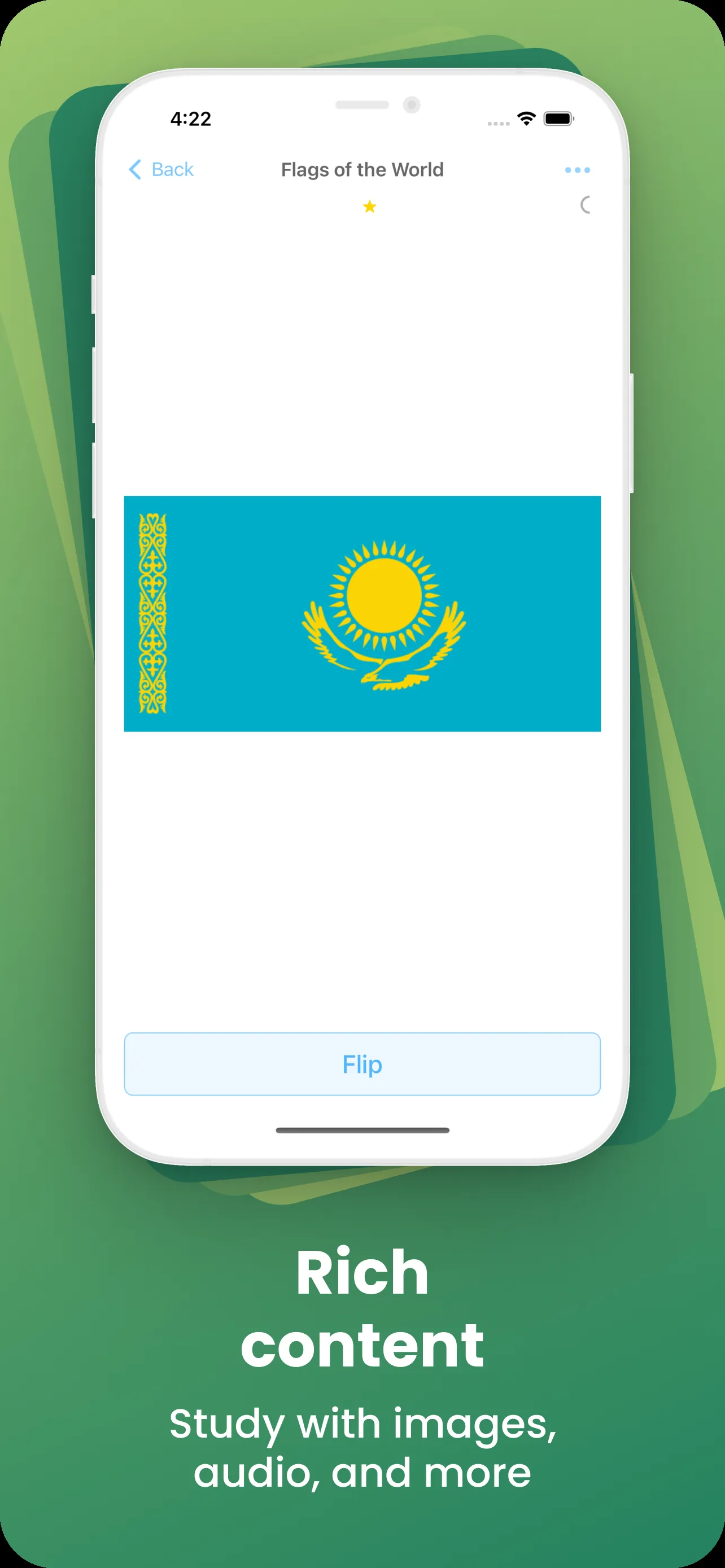 AnkiApp Flashcards iphone screenshot 4