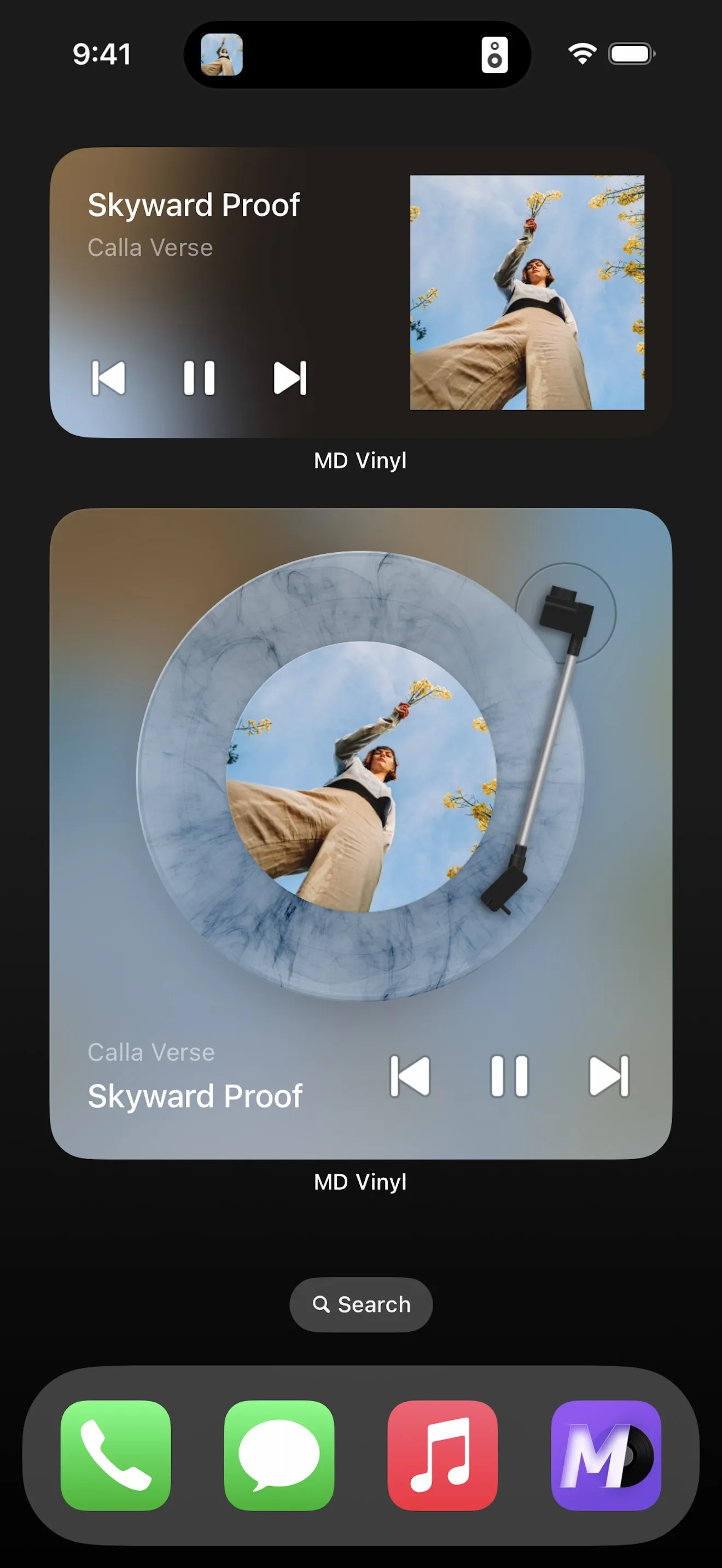 MD Vinyl for Music App iphone screenshot 10