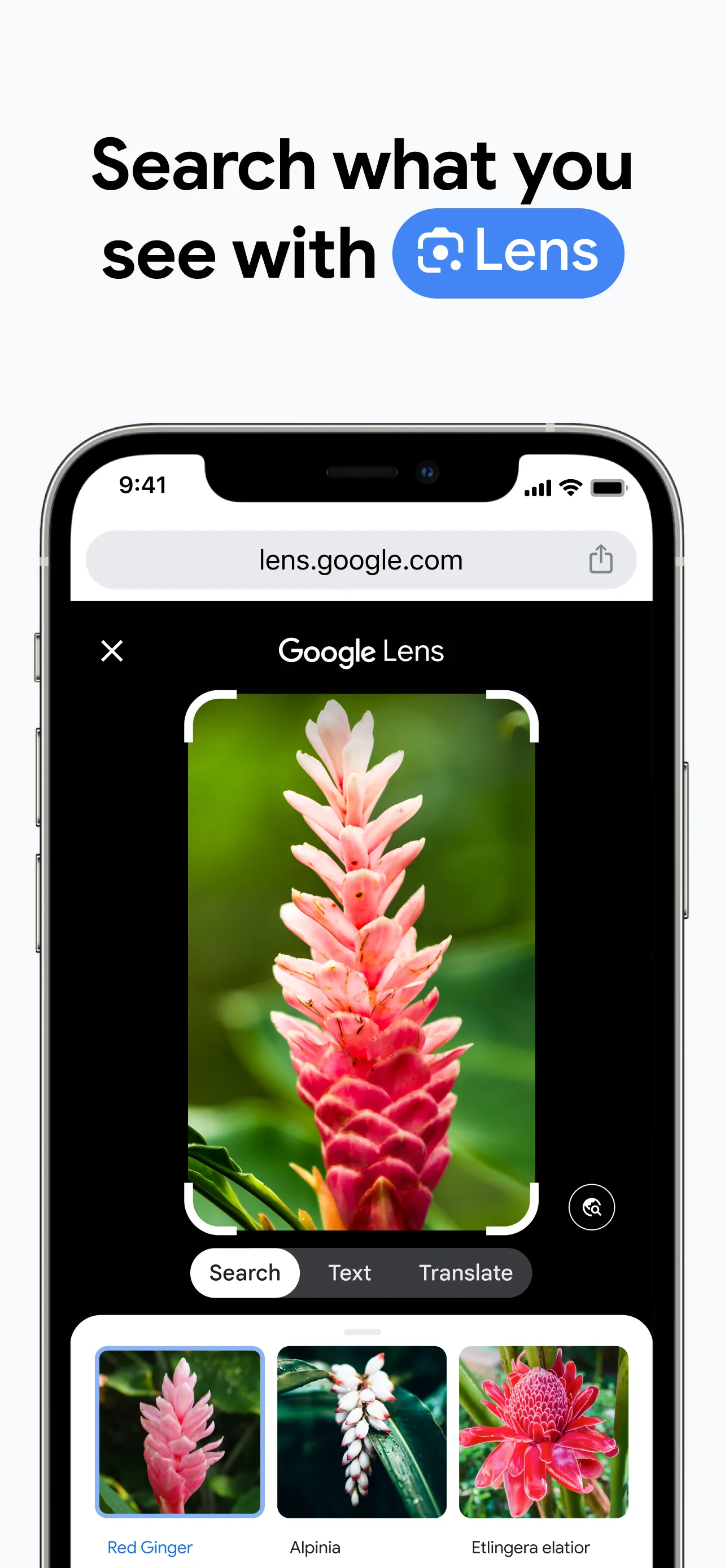 Google Chrome iphone screenshot 2