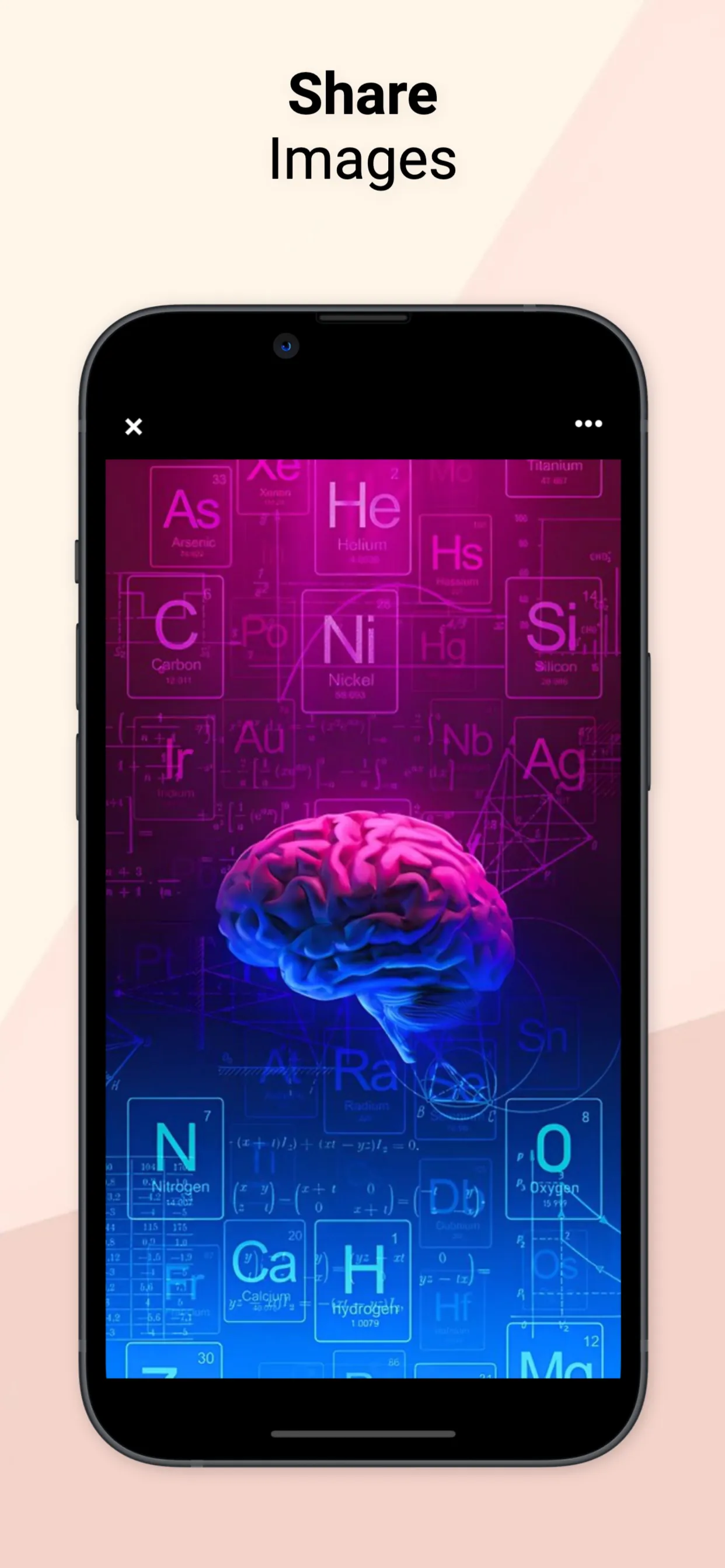 Biology Dictionary & Course iphone screenshot 5