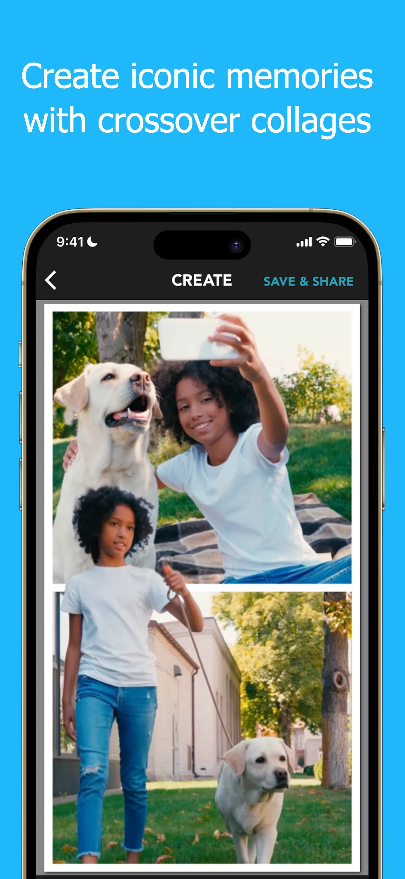 PicPlayPost: Video Editor iphone screenshot 2