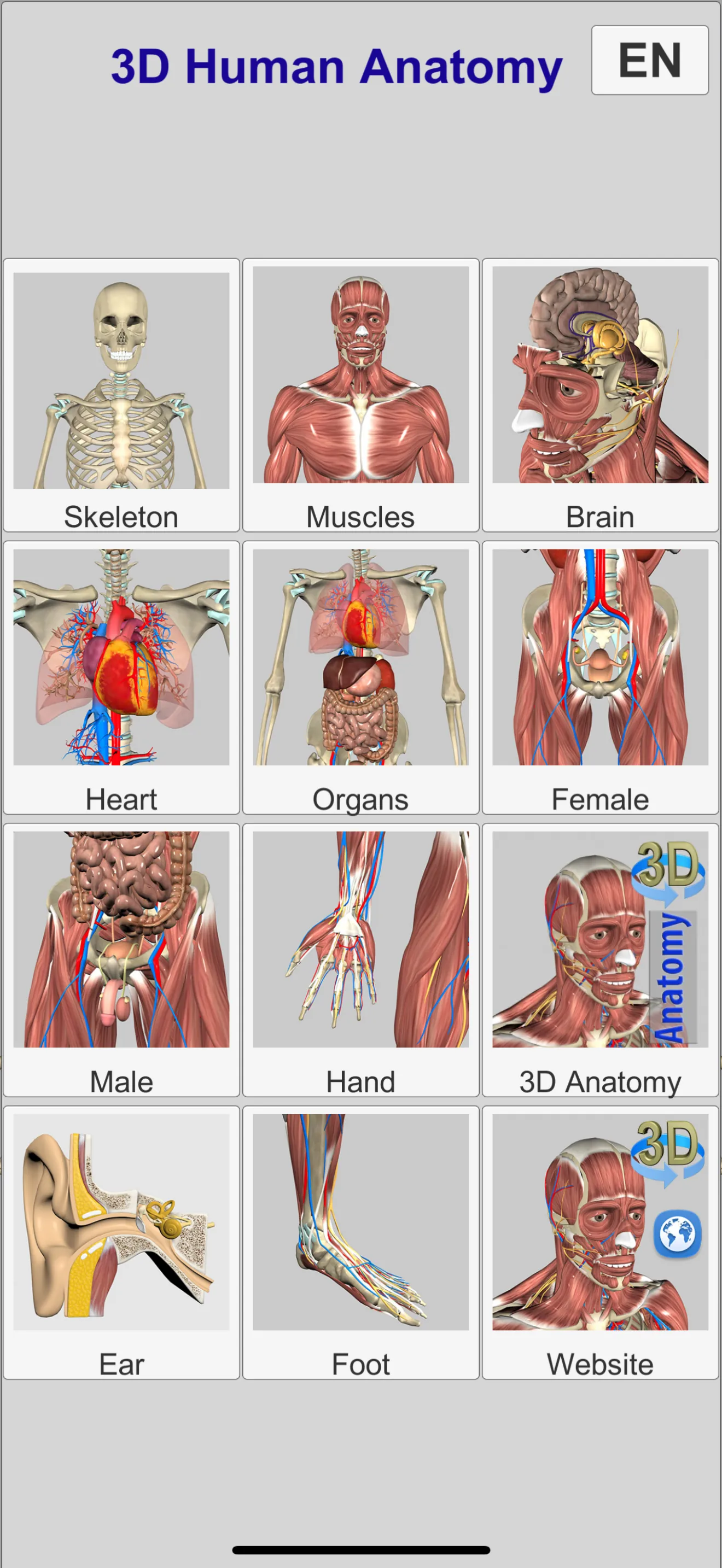 3D Bones and Muscles (Anatomy) iphone screenshot 3