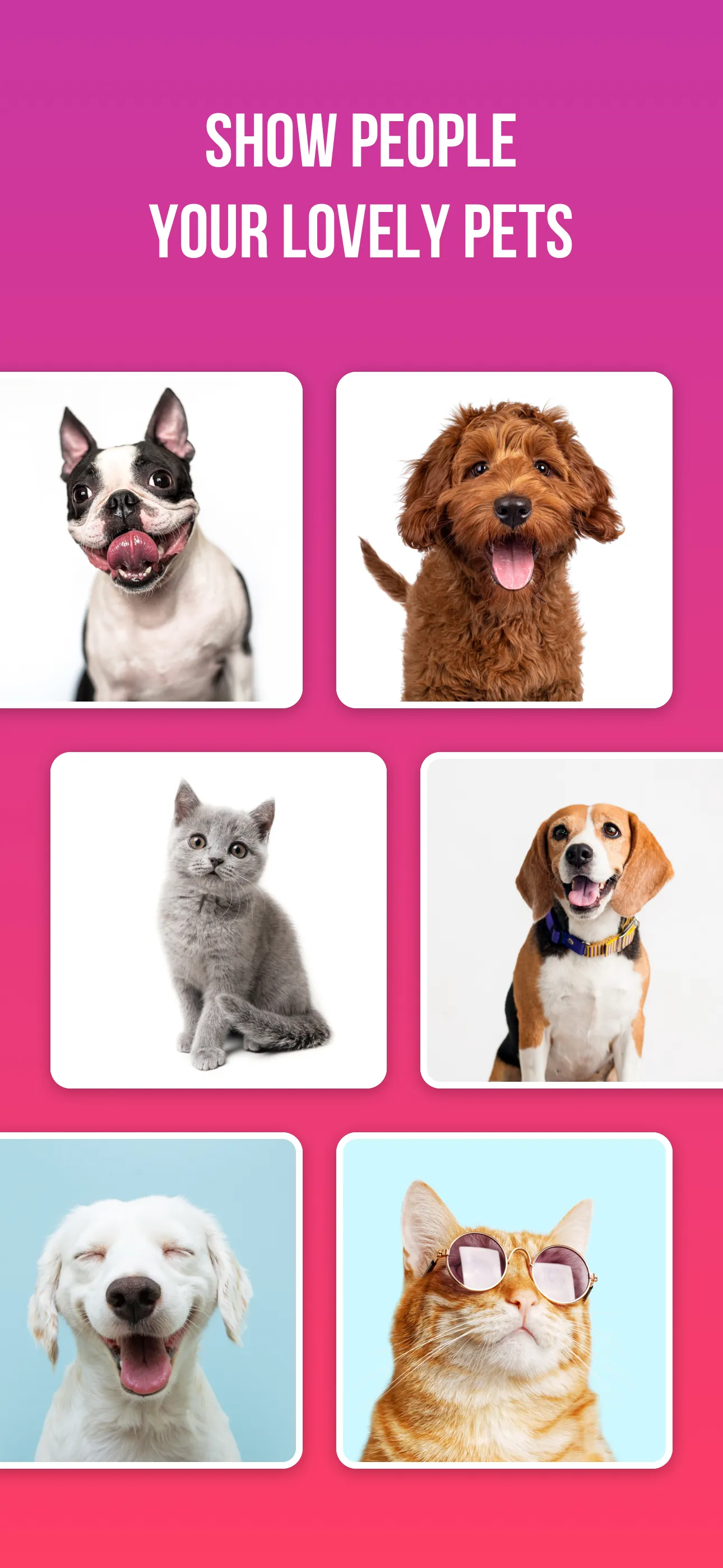 Cool Meet: Dating, Friends App iphone screenshot 6