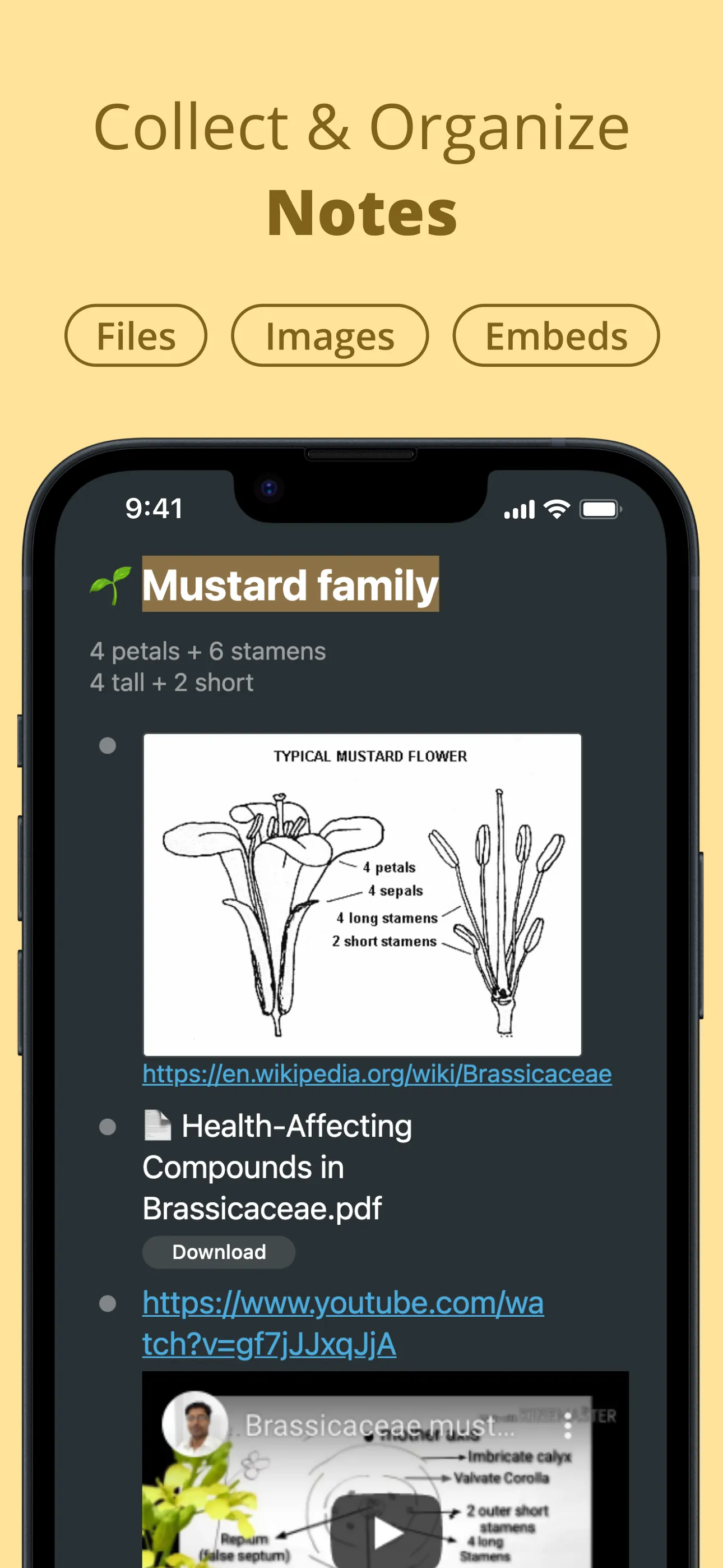 WorkFlowy: Note, List, Outline iphone screenshot 1